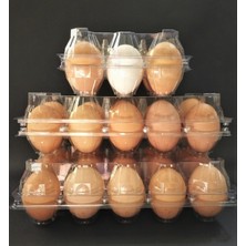 Ucuz Viyol 15 Li Plastik Kapaklı Yumurta Viyolü 50 Adet