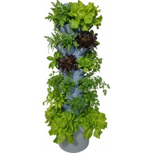 Topraksız Tarım Hobi Seti 24'lü Kule - Gri