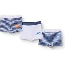 Hellobaby Erkek Bebek 3'lü Külot