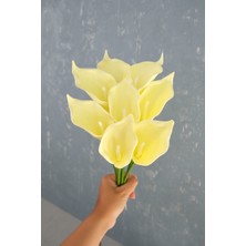 Açık Sarı 8’li Gala Demet