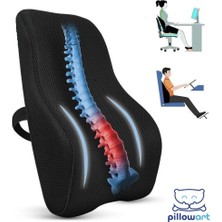 Pillowart Visco Bel Yastığı Sırt Minderi Yastığı