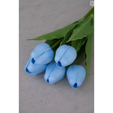 Bebe Mavi 5’li Lale Demet