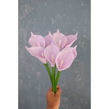 Lila 8’li Gala Demet