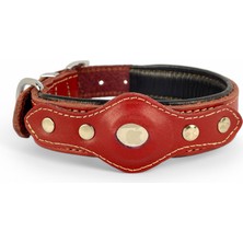 Canini Collar Hakiki Klasik Deri Airtag Uyumlu Köpek Tasması – Dayanıklı, Konforlu ve Şık Tasarım, Airtag Bölmeli Gerçek Deriden Köpekler Için Tasma