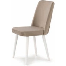 Bera Ağaç Ayak Zirve Sandalye