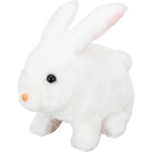 Bfs   Sunman Sevimli Peluş Tavşan Robbie