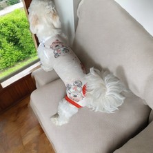 Köpek Regl Külotu ,dişi Köpek Regl  Zıbın Külot, Dişi Köpek Periyot Külotu