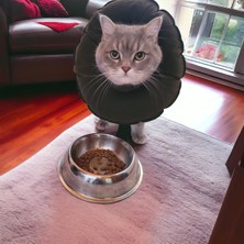 Kedi ve Köpek Yakalığı Elizabeth Yakalık, Ameliyat Sonrası Koruyucu Yakalık- Su Geçirmez Kumaş