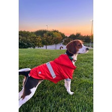 Köpek Yağmurlukları, Su Geçirmez Köpek Yağmurluğu, Köpek Kıyafeti