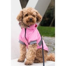 Köpek Yağmurlukları, Su Geçirmez Köpek Yağmurluğu, Köpek Kıyafeti