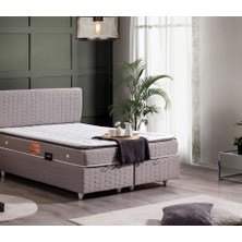 Sais Seti Baza ve Başlık Takımı