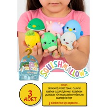Squishmallows Squooshems – 3 Adet - 6.5 cm Sürpriz Yumuşacık Koleksiyon Oyuncağı Seri 8