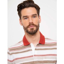 Pierre Cardin Erkek Kiremit Regular Fit Polo Yaka Tişört 50206204-VR031