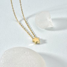 Nox Jewelry 925 Ayar Gümüş Altın Kaplama Minimal Yıldız Kolye - CN00142