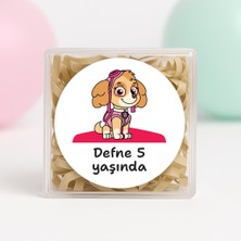 Kişiye Özel Skye (Paw Patrol)Temalı Doğum Günü Baskılı Yapışkanlı Etiket 4 cm Yuvarlak 24 Adet