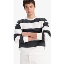 DeFacto Boxy Fit Bisiklet Yaka Çizgili Sweatshirt A9066AX25AU