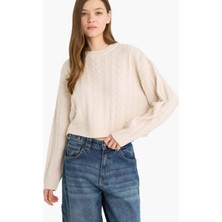 DeFacto Regular Fit Bisiklet Yaka Triko Kazak T4518AZ25WN