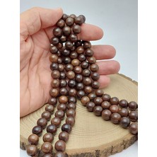 Yaşam Tohumu Ceviz Ağacı Ahşap Dizi 10 mm (56704)