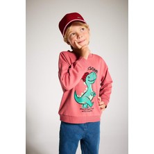 DeFacto Erkek Bebek Bisiklet Yaka Dinozor Baskılı İçi Yumuşak Tüylü Sweatshirt F4531A525AU