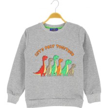 Erkek Çocuk Bluz Baskılı Şardonlu