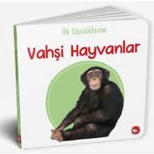 Ilk Sözcüklerim - Vahşi Hayvanlar