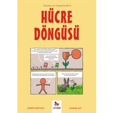 Hücre Döngüsü - Gençler Için Çizgilerle Bilim