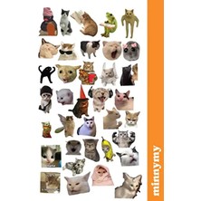 Komik Kedi, Kediler, Funny Sticker, Çıkartma, Ajanda, Günlük, Planlayıcı, Bullet Journal , Scrapbook