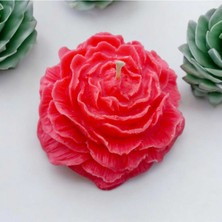 Şakayık Çiçeği Mum