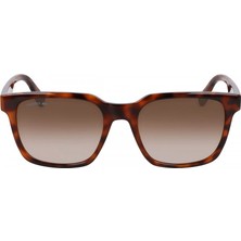 Lacoste L6028S 214 54 Erkek Güneş Gözlüğü