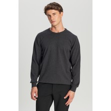 Pamuklu Standart Fit Normal Kesim Bisiklet Yaka Triko Kazak