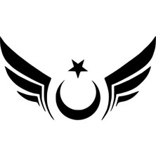 Kanatlı Türk Bayrağı Duvar Dekor Sticker 40 x 20 cm