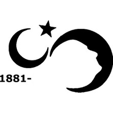 Türk Bayrağı 9 Duvar Dekor Sticker Siyah 80 x 40 cm