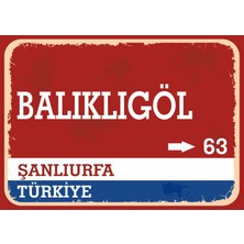 Şanlıurfa Balıklıgöl Retro Sokak Yön Tabelası Vintage Pvc Dekota Uv Poster Yapışkanlı 35X25