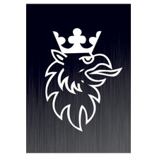 Scanıa R Logo Oto Özel Yeni Sticker 35*25 cm