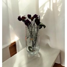 Paşabahçe  Cam Vazo – Silindir Model Dekoratif Çiçeklik