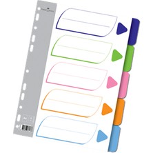 Faber Castell A4 Seperatör 5 Renk FC-2005 5250105