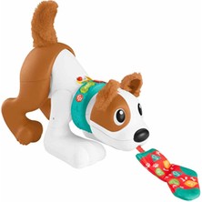 Fisher Price Emeklemeyi ve Saymayı Öğreten Köpekçik HHH13