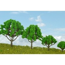 Jordanıa 1100 6 cm Ağaç 2"li W6070N