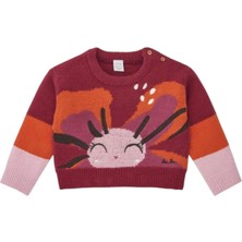 Kız Çocuk Kazak 11379197