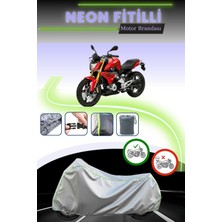 Cemku Shine Gri Neon Fitilli Bmw G 310 R Uyumlu Motosiklet Brandası