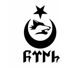 Göktürkçe Türk Kurt Hilal Oto Özel Yeni Sticker 20 x 30 cm