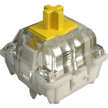 Wooting Lekker L45 Linear Light Analog Manyetik Switch (12’li Paket)