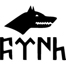 Börteçine ve Göktürkçe Türk Yazısı Oto Arka Cam Sticker 20 x 20 cm