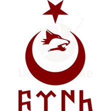 Ay Yıldız Kartal Göktürkçe Türk Oto Özel Yeni Sticker Kırmızı 40*26 cm
