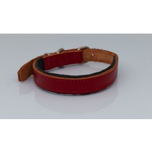 Deri Köpek Boyun Tasması