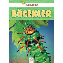 Ilk Hazinem - Böcekler