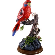 HL517EFH Kalemlikli Papağan Vardem