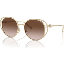 Jimmy Choo Güneş Gözlüğü JC4003HB 53 300613