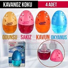 Küre-Kavanoz Koku Kavun-Sakız-Odunsu-Okyanus- 100ML 4ADET