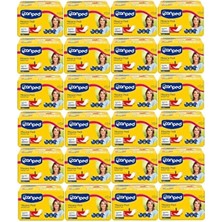 Canped 240 Adet Mesane Pedi Klasik L Büyük Boy Kadın Anatomisine Uygun Özel Emici Yapı